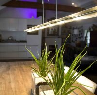 Dimmbare LED Pendelleuchte Schwarz mit Glasschirm