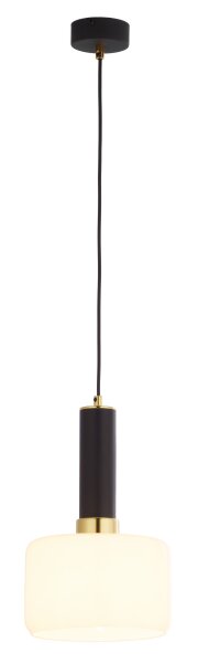 Metall Pendelleuchte Schwarz rund Ø20cm E27 Modern