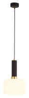 Metall Pendelleuchte Schwarz rund &Oslash;20cm E27 Modern