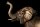 Tischlampe in Bronze antik Natur Elefant Resin Jute