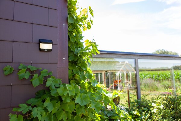 Solarlampe Wand LED Bewegungsmelder IP54 Eingang Garten
