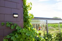 Solarlampe Wand LED Bewegungsmelder IP54 Eingang Garten