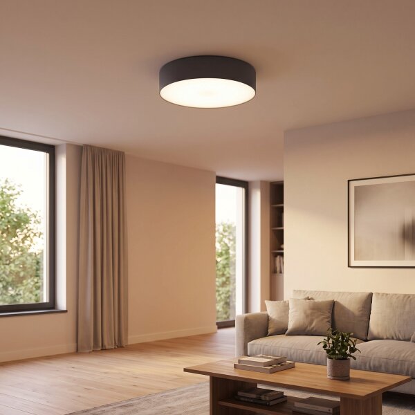 LED Deckenlampe Ø 40,5 cm rund Graphit