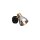Wandspot E14 Glasschirm in Schwarz Rauchgrau Messing