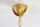 Pendelleuchte Modern 6-flammig Gold Metall E14 elegant