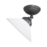 Deckenspot schwenkbar &Oslash; 24,5 cm Glas Messing E27