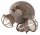 Spot Lampe Metall Keramik verstellbar E14 2-flammig