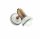 Spot Lampe Wand Metall Keramik verstellbar E14 Landhaus