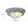 Industrie Deckenlampe Metall Glas Grau Weiß Ø29 cm E27