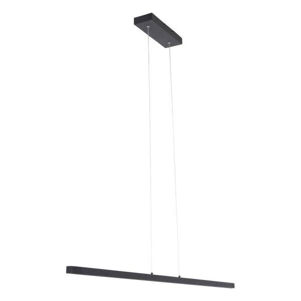 LED Hängelampe Schwarz L:114 cm 20 W 2700 K Modern