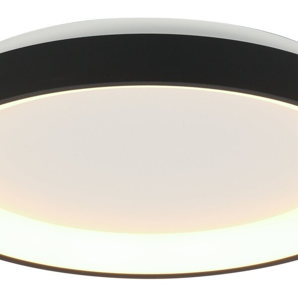 LED Deckenlampe Schwarz Weiß Ø28 cm 2700 K wohnlich
