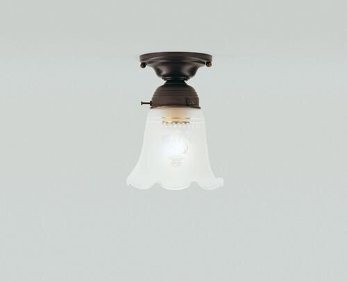 Florale Deckenleuchte Messing Antik Glas E27 Ø15 cm