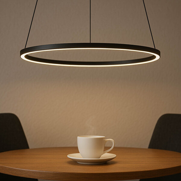 LED Hängeleuchte Metall Ring Ø 45 cm Schwarz 4000 K 600 lm