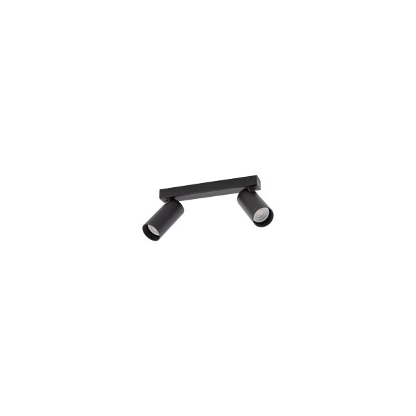 Deckenspot 2-flammig verstellbar Aluminium Schwarz GU10