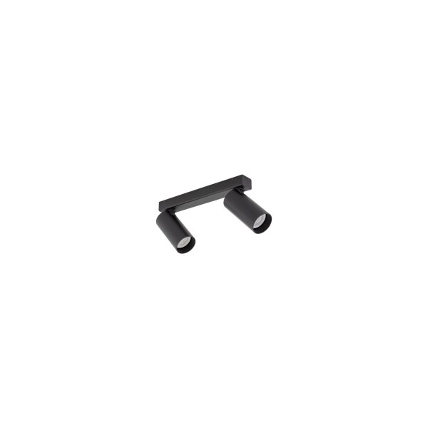 Deckenspot 2-flammig verstellbar Aluminium Schwarz GU10