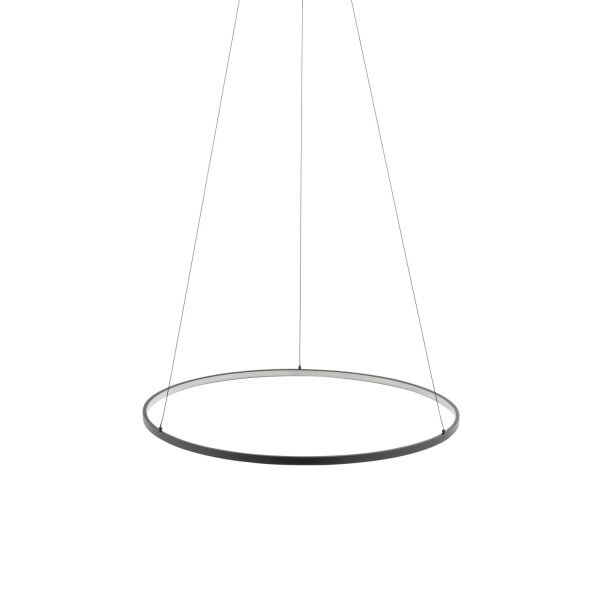 LED Hängeleuchte Ring Ø 60 cm Schwarz 2700 K 660 lm Metall