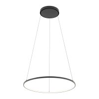 LED Hängeleuchte Ring Ø 60 cm Schwarz 2700 K...