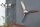 Deko Propeller Wand Metall Handarbeit 90x90 cm in Kupfer