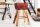 Barhocker Echtleder Massivholz 40 cm in Kaffeebraun Natur