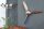 Deko Propeller Wand Metall Handarbeit 60x60 cm in Silber