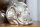 Obstschale Aluminium Ø 35 cm in Silber