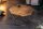 Couchtisch Mango Holz Metall in Natur Messing 70x70 cm