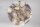 Beistelltisch Achat Metall in Mehrfarbig Gold 35x35 cm