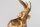 Beistelltisch Hartglas Marmor Metall in Gold Schwarz Elefant