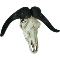 Dekoschädel Büffel Jagdtrophäe B: 65,5 cm...