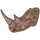 Wandskulptur Nashorn Kopf Polyresin B: 61 cm Braun künstlich