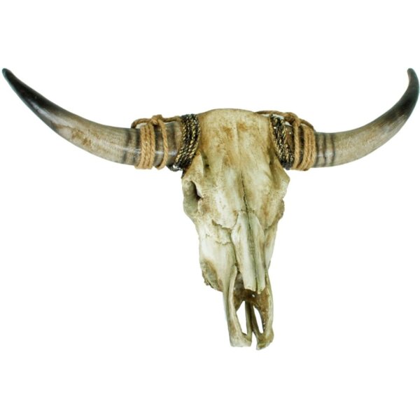 Künstlicher Rinderschädel Jagdtrophäe aus Polyresin B: 79cm