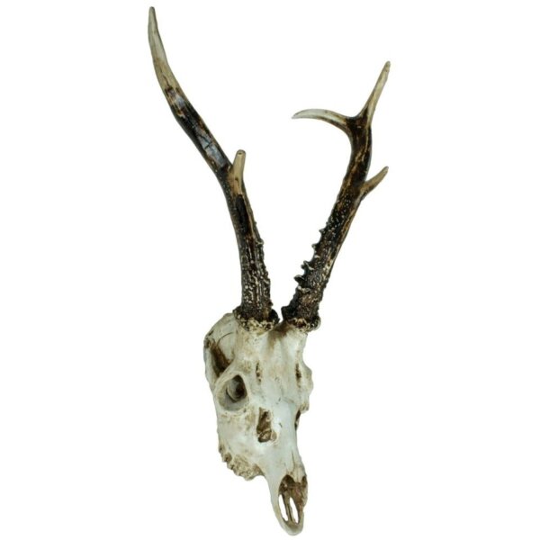 Deko Jagdtrophäe Reh Schädel B: 39 cm Polyresin künstlich
