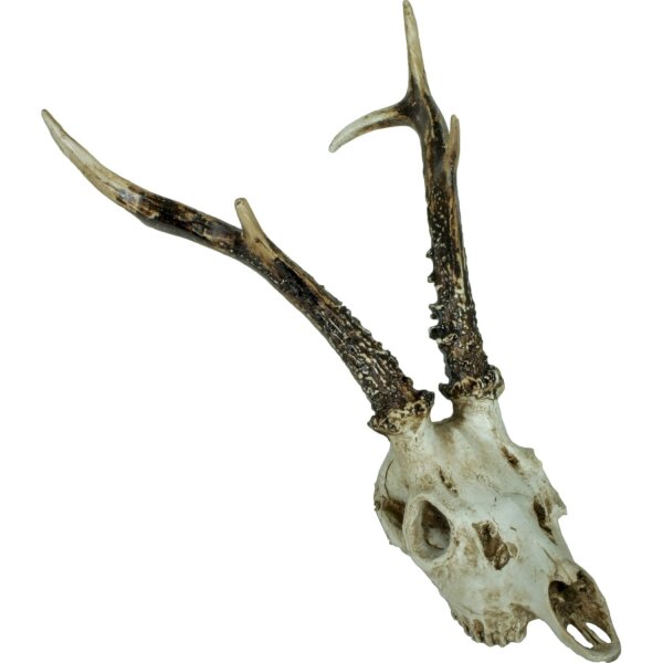Deko Jagdtrophäe Reh Schädel B: 39 cm Polyresin künstlich