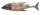 Wand Deko Holz Fisch 100 cm lang Handarbeit Shabby