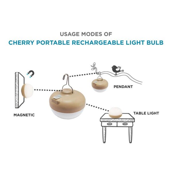 LED Leuchtmittel Akku USB Haken Magnet Ø 11 cm Fernbedienung CHERRY