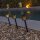 LED Gartenleuchte Erdspieß 4er Set Solar Akku IP44 Schwarz