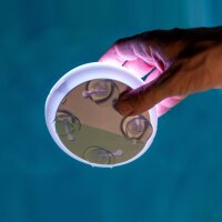 LED Poolleuchte ohne Bohren Farbwechsel dimmbar IP68...