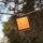 LED Solarlichterkette IP44 Bambus 1800 K 5 m lang TAIYO