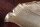 Dekoschale Metall Handarbeit 64 cm lang in Gold Blatt Design