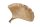 Schale Metall in Gold L: 42 cm Ginko Handarbeit Asiatisch