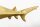Deko Statue Metall Hai Fisch in Gold 68 cm lang Handarbeit