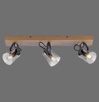 Verstellbarer Deckenspot Glas Eiche E14 65 cm blendarm