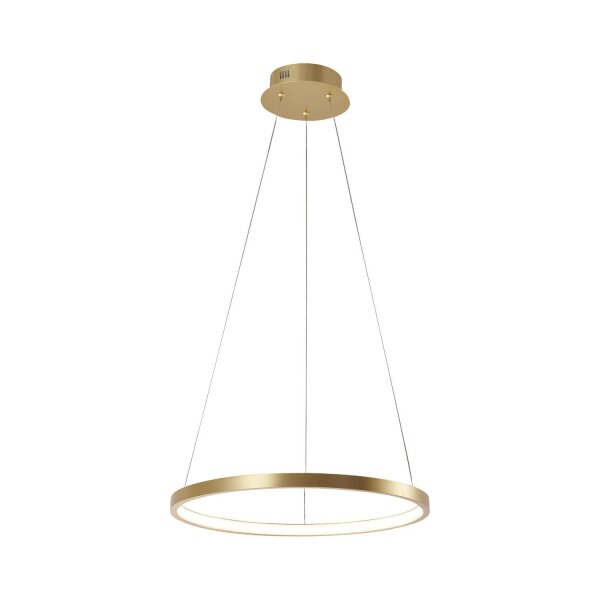 LED Hängelampe Ring in Gold Metall Ø39 cm 2450 lm 19 W