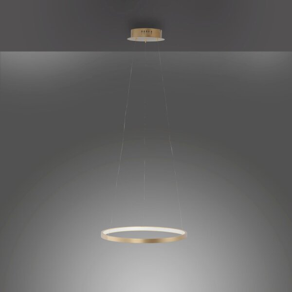 LED Hängelampe Ring in Gold Metall Ø39 cm 2450 lm 19 W