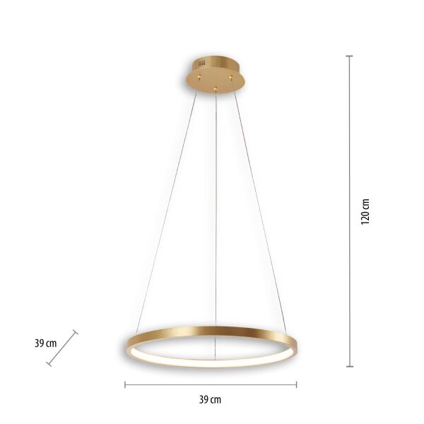 LED Hängelampe Ring in Gold Metall Ø39 cm 2450 lm 19 W