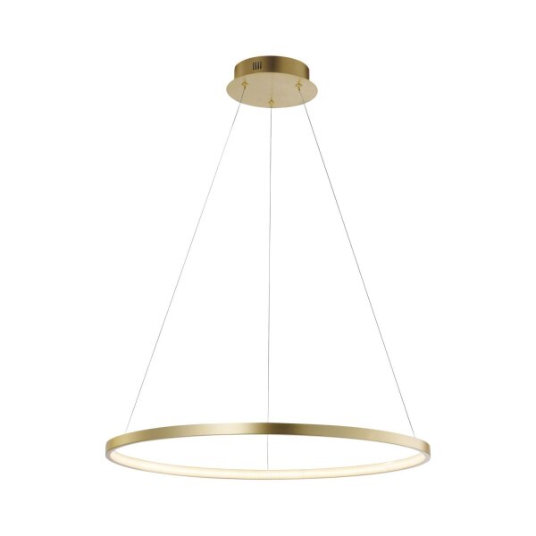 LED Hängelampe Ring in Gold Metall Ø60 cm 3670 lm 29 W