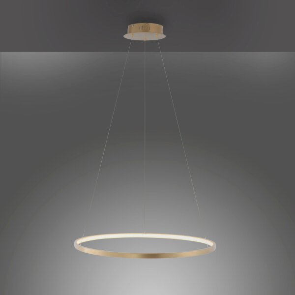 LED Hängelampe Ring in Gold Metall Ø60 cm 3670 lm 29 W