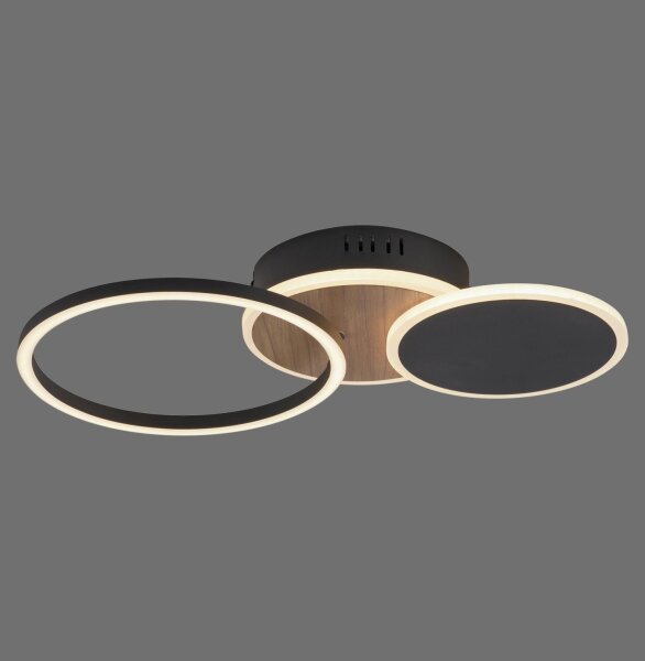 LED Deckenlampe Schwarz Natur warmweiß 26 W verstellbar