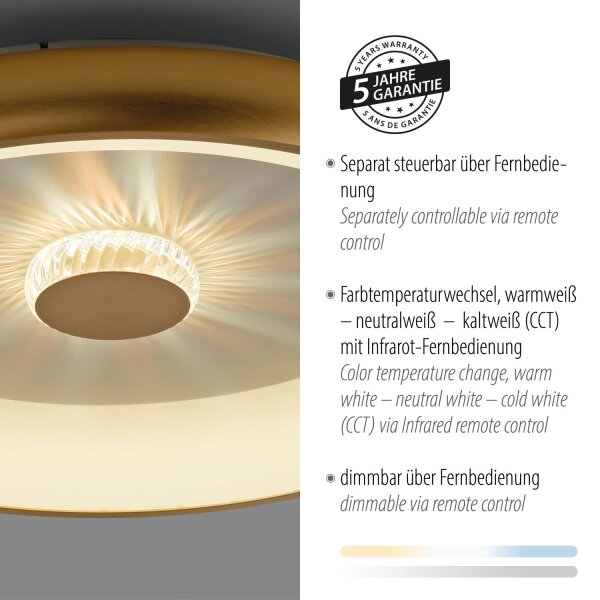 Dimmbare LED Deckenleuchte 2700-5000 K Ø61,5 cm Messing