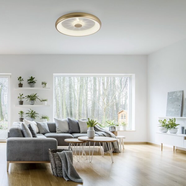 Dimmbare LED Deckenleuchte 2700-5000 K Ø61,5 cm Messing